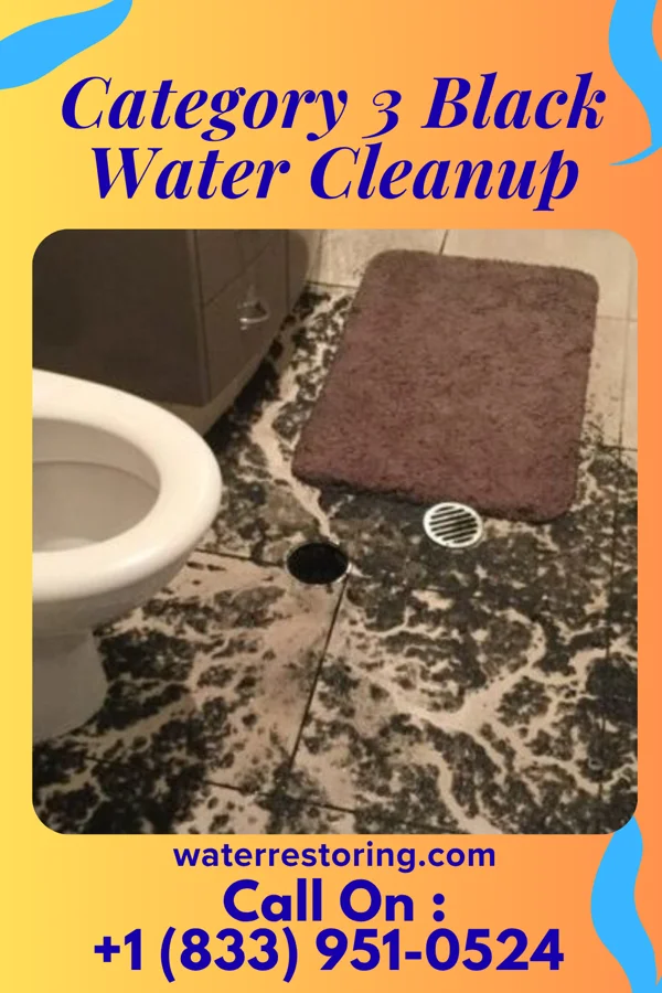 Category 3 Black Water Cleanup in Fairfield Beach, OH