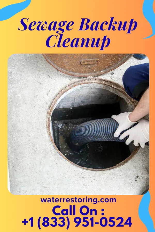 Sewage Backup Cleanup in Fairfield Beach, OH