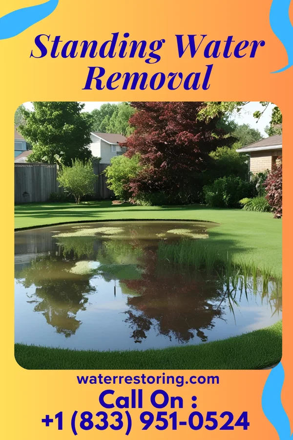 Standing Water Removal in Fairfield Beach, OH